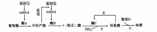 从发酵罐中分离提纯谷氨酸可采用过滤,沉淀,离子交换等方法 d.