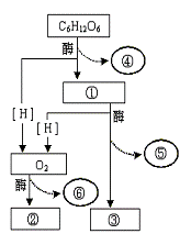 右图是高等生物细胞有氧呼吸过程的图解据图回答