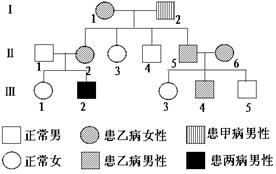 下图是某家族遗传系谱图,已知甲病(基因用a,a表示)为一种常染色体遗传