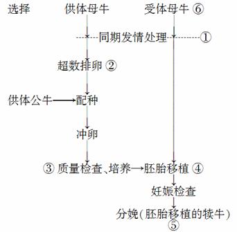 4.如图为牛胚胎移植示意图,请据图回答