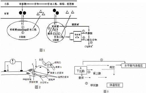 image027.gif