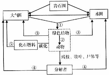 下图为生物圈中碳循环示意图请根据图回答问题