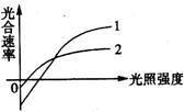 净光合速率为0_净光合速率和总光合速率_呼吸 净光合= 真正光合 速率