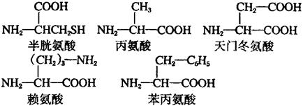 那么该多肽链彻底水解后将会得到赖氨酸,天门冬氨酸各多少个 ( )