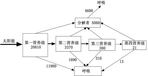 下图是某生态系统的能量流动图解,图中数值的单位为kcal/(m