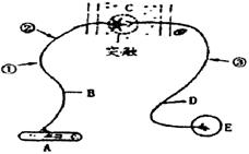 图为某种反射弧示意图,结合下述实验回答问题
