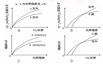 浓度是影响光合作用的重要环境因素,下列是描述这两个因素对植物光合