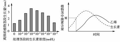 为了探究生长素和乙烯对植物生长的影响及这两种激素的相互作用,科学