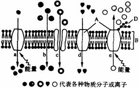 图为物质出入细胞膜的示意图,据图回答